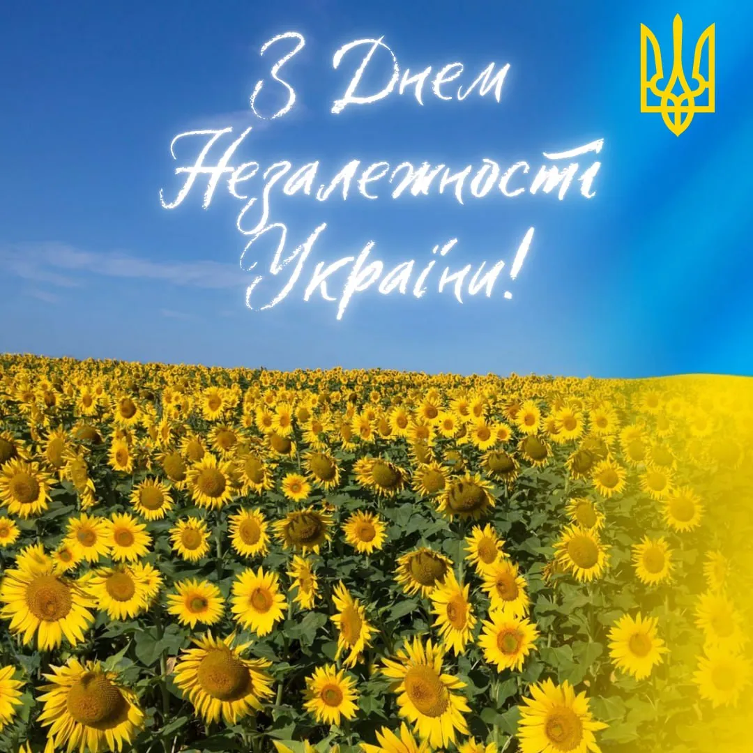 Квіти соняшники та привітання з Днем Незалежності України