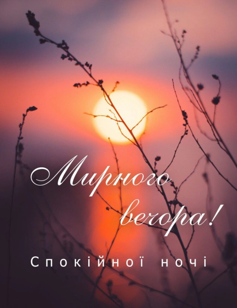 Закат, гілки та побажання доброго вечора українською.