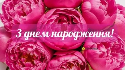 Розкісні рожеві троянди з привітанням на день народження.