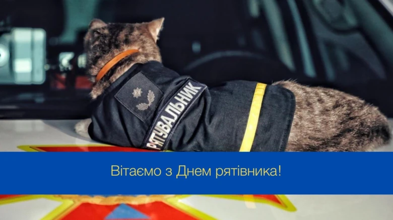 Кіт у формі рятувальника на фоні машини швидкої допомоги
