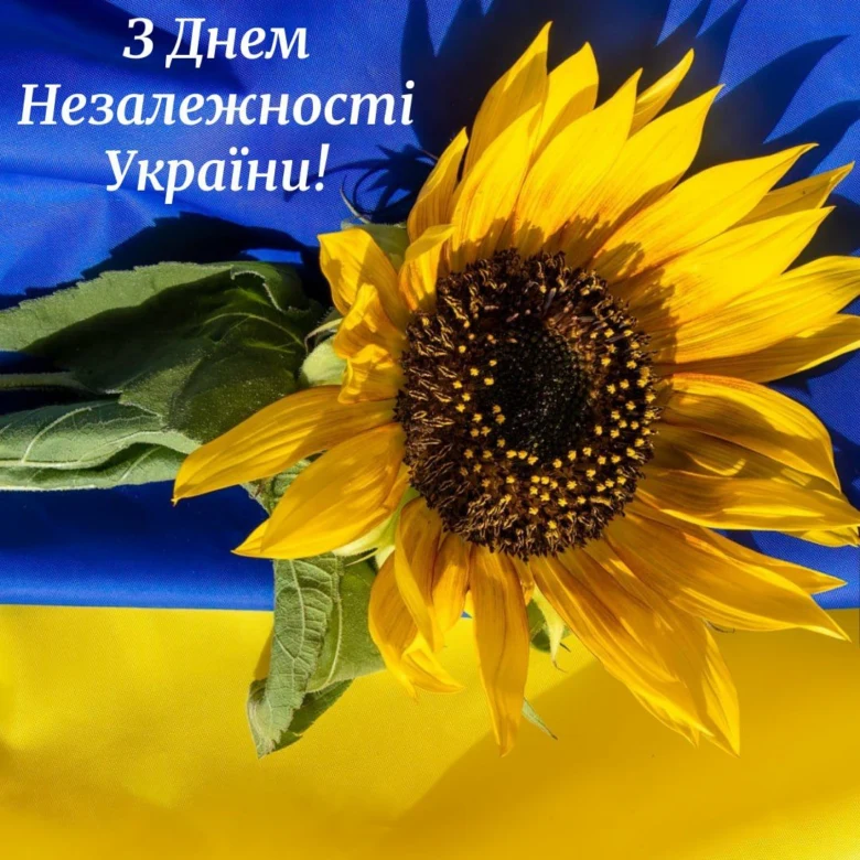 З Днем Незалежності України! Соняшник на прапорі.