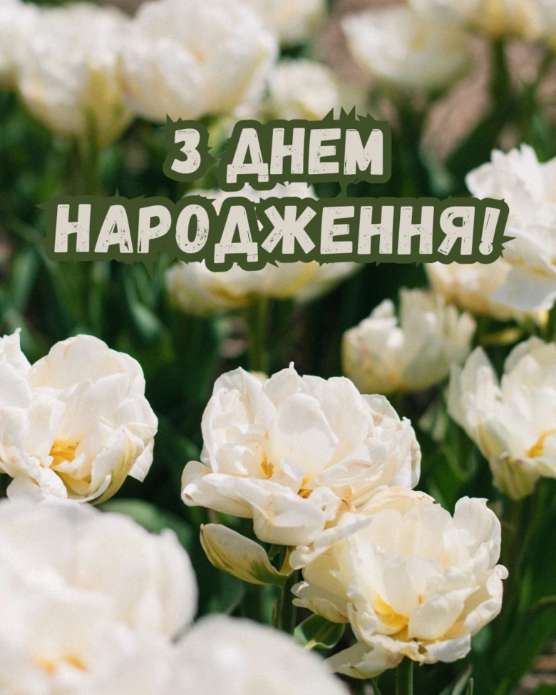 Білі тюльпани з привітанням на день народження українською