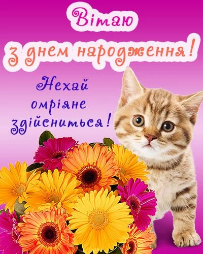 Кіт та квіти привітають з днем народження українською