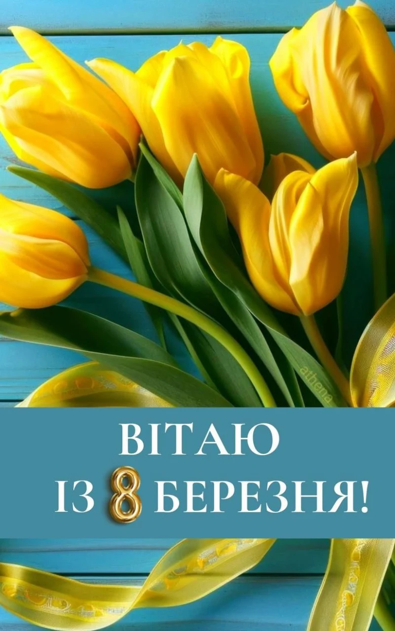 Жовті тюльпани на синьому фоні з привітанням до 8 Березня.
