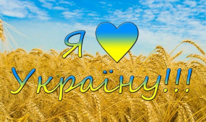 Золоте поле пшениці та серце з кольорами прапора України