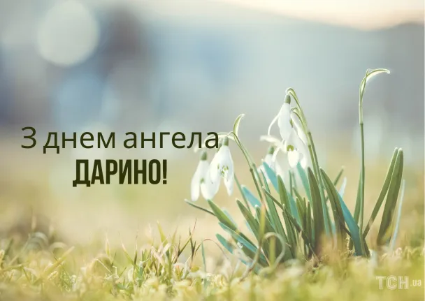 Сніжинки в траві на фоні сонячного поля з привітанням Дарині.