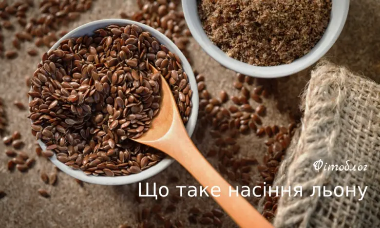 Коричневі насіння льону та подрібнений продукт у мисках