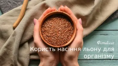 Руки тримають миску з насінням льону на дерев'яному столі.