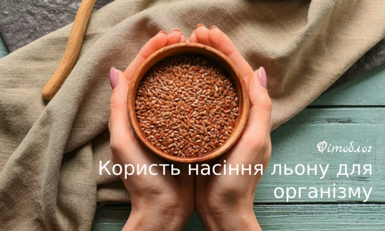 Руки тримають миску з насінням льону на дерев'яному столі.