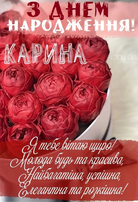 Квіти та привітання з днем народження Карини